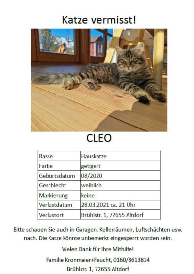 Katze Cleo seit 28.03.21 in Altdorf vermisst.